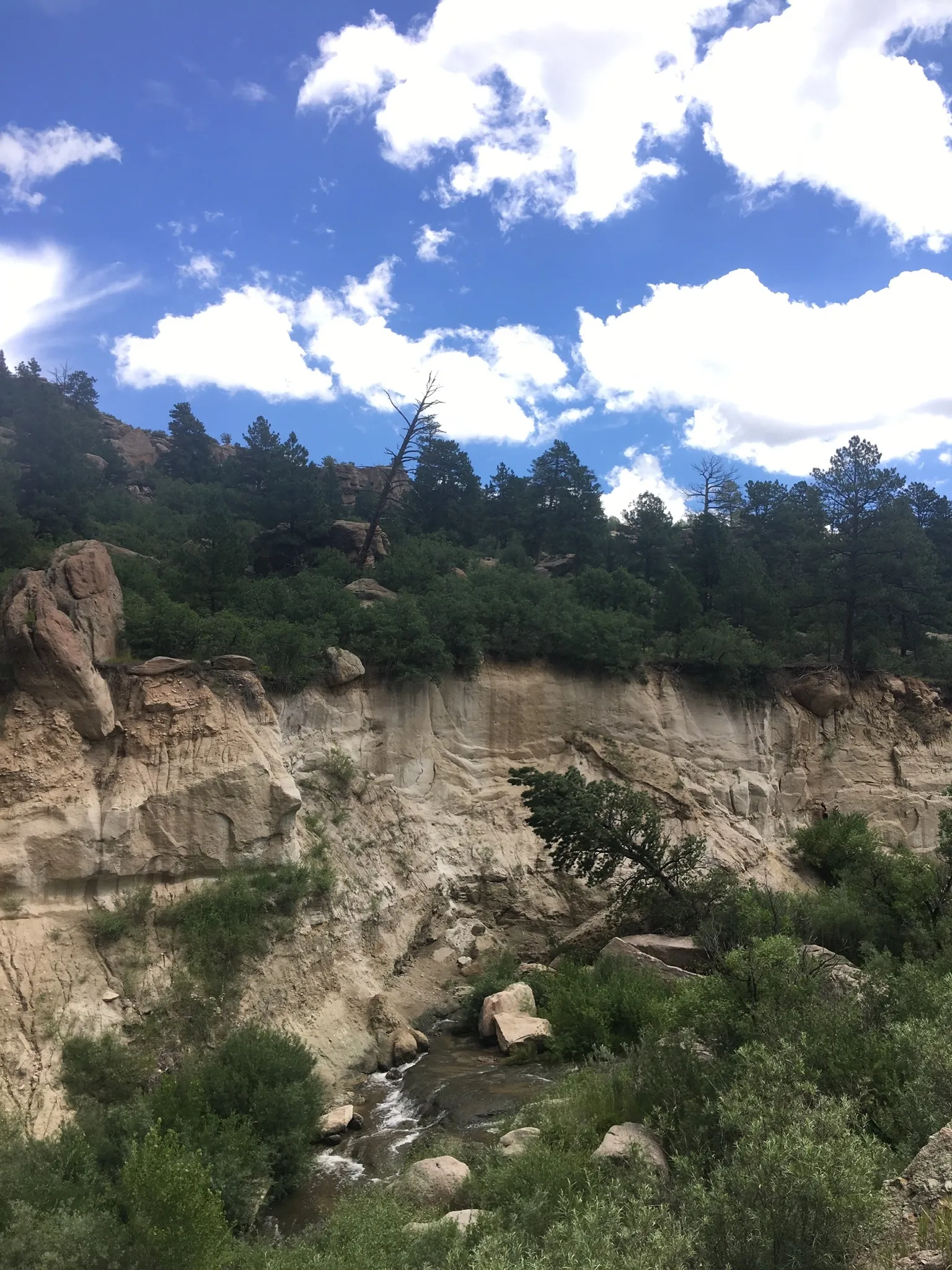 Belly Hog OnlyFans header