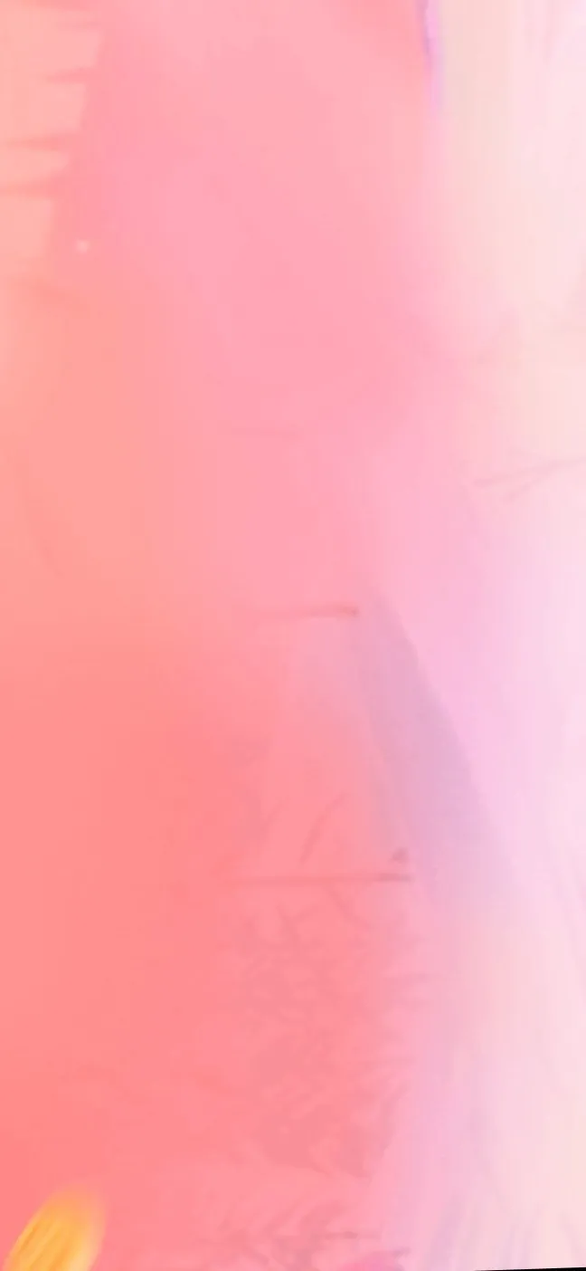 BellyLu OnlyFans header