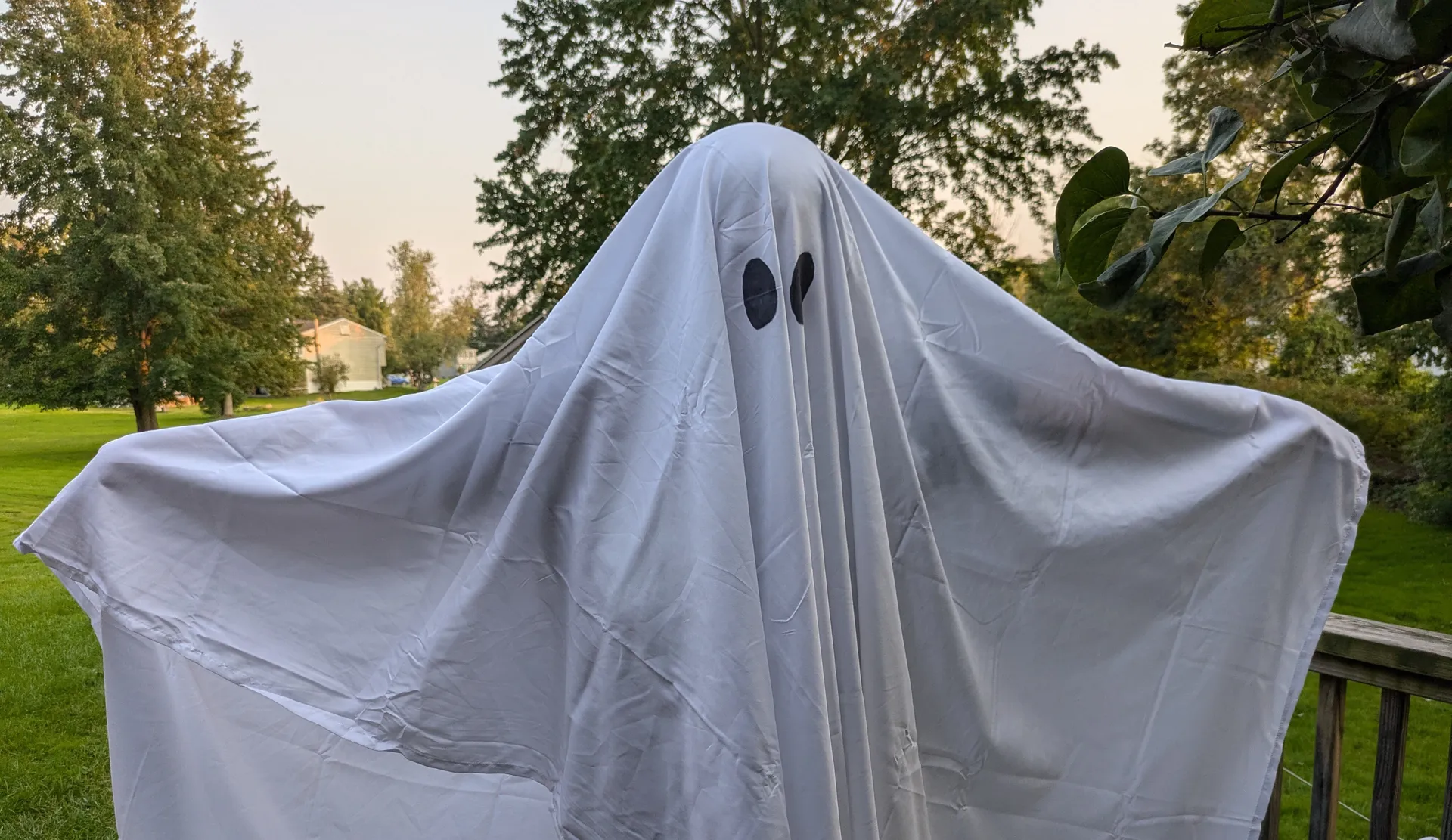 Emily Vixen OnlyFans header