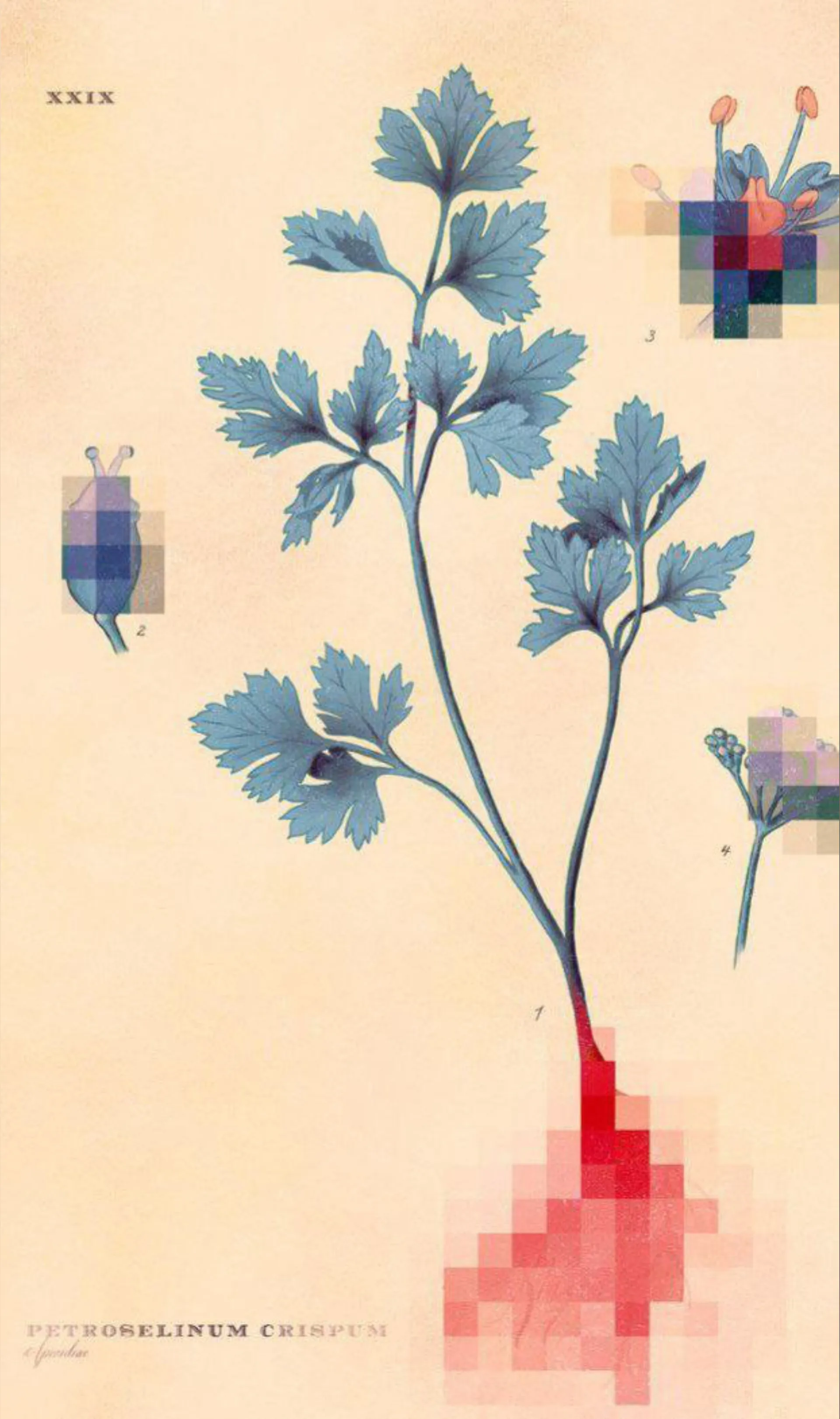 belovvvvaaa OnlyFans header