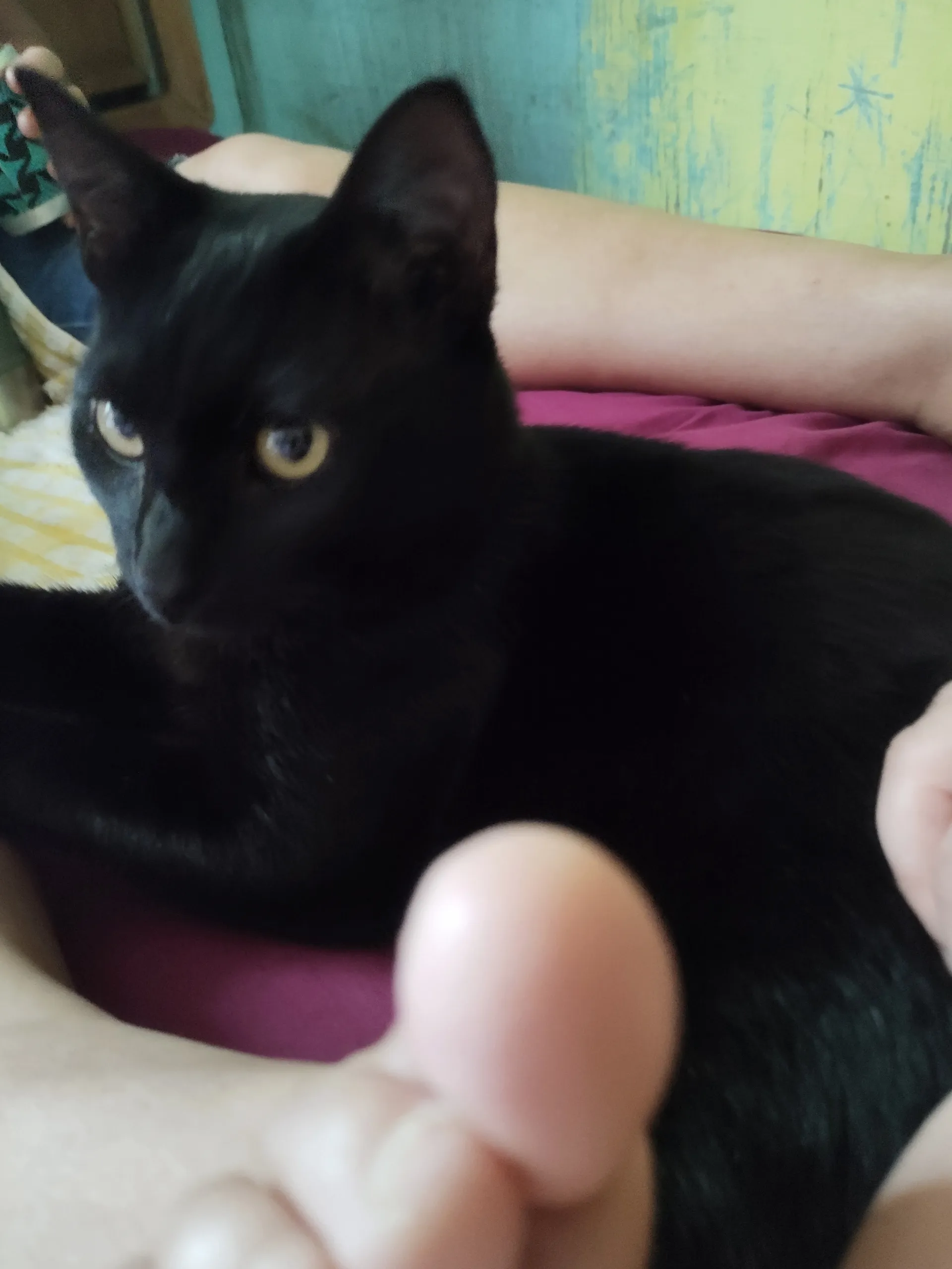 Belén✨ OnlyFans header