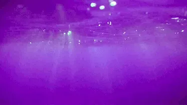 Ninguémliga OnlyFans header