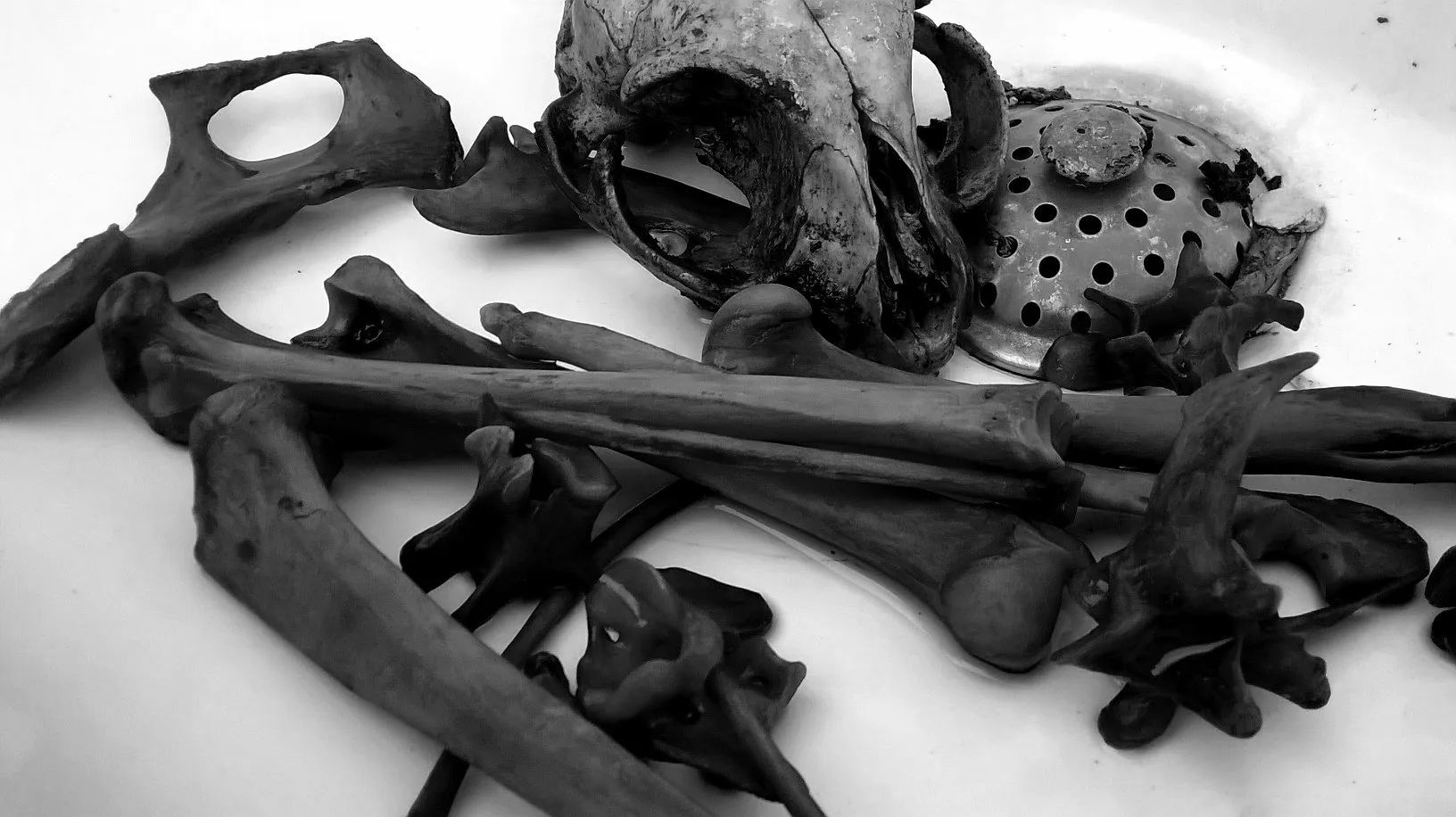 Beba OnlyFans header