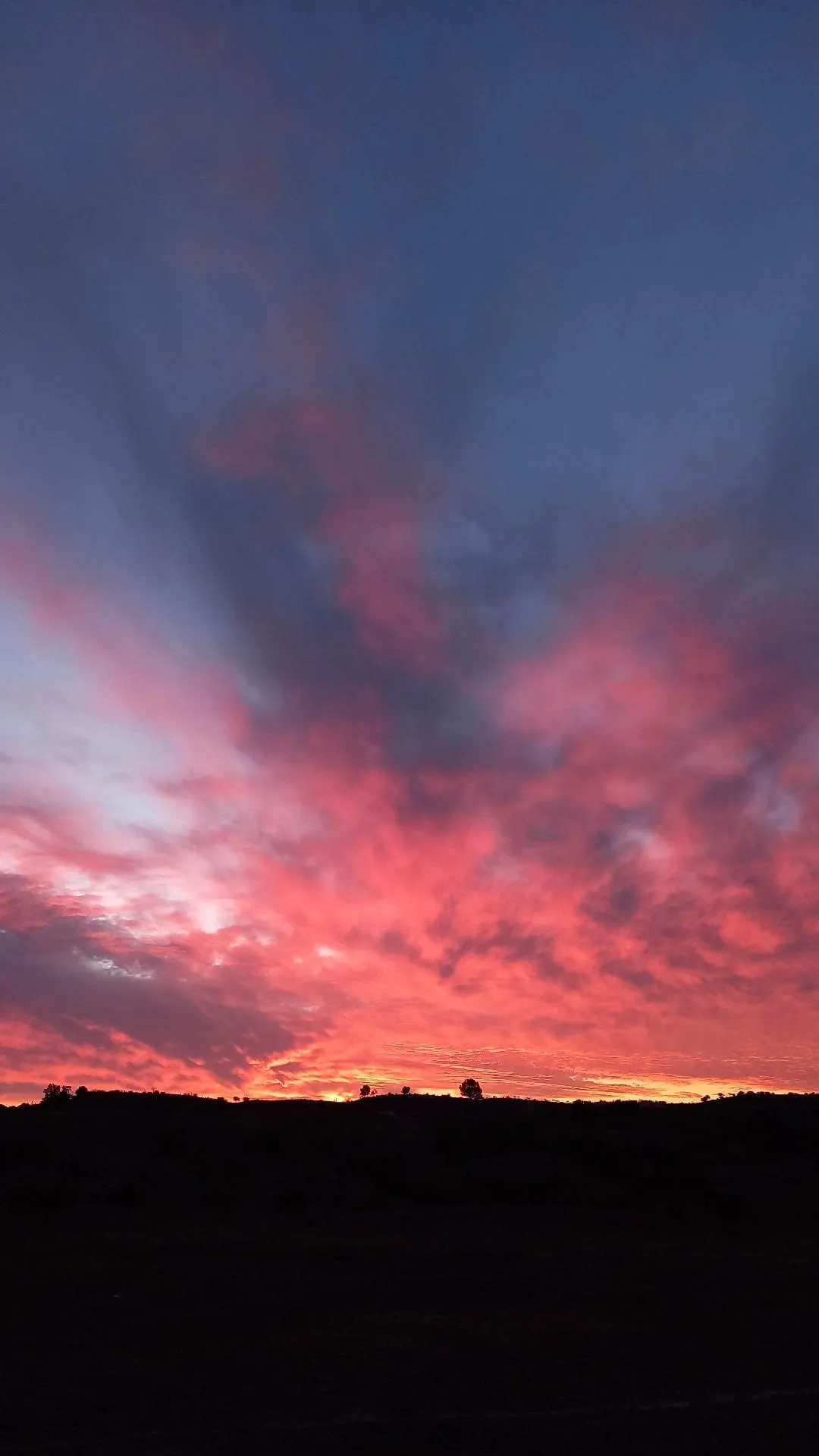 Belzeboo OnlyFans header