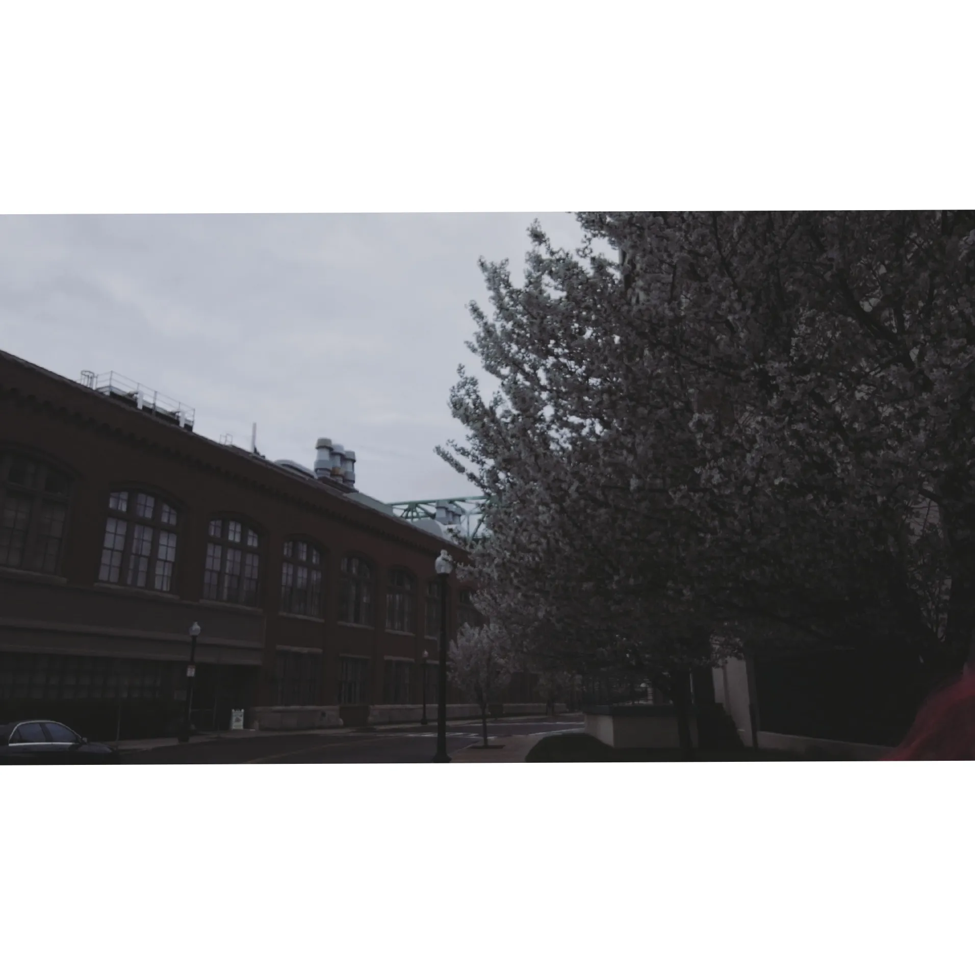 🥀 OnlyFans header