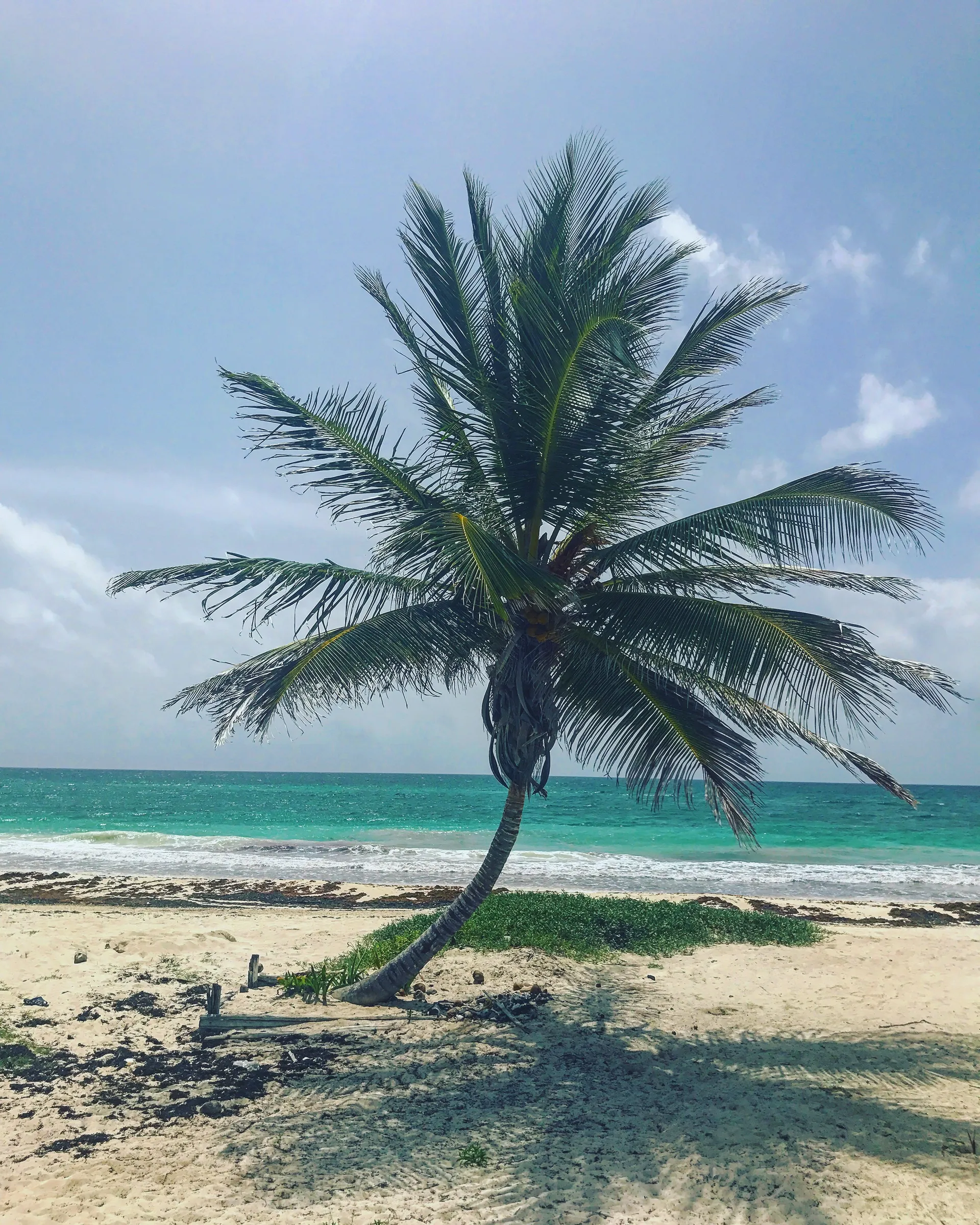 Ben! OnlyFans header