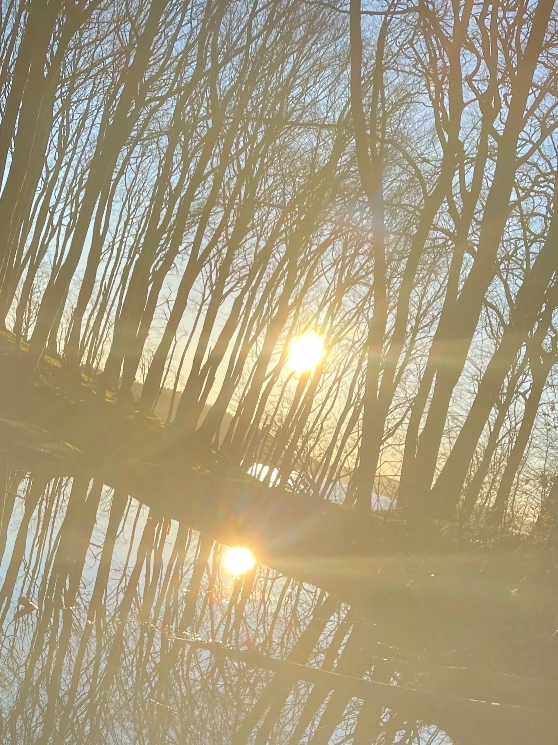 Ben the Booty OnlyFans header