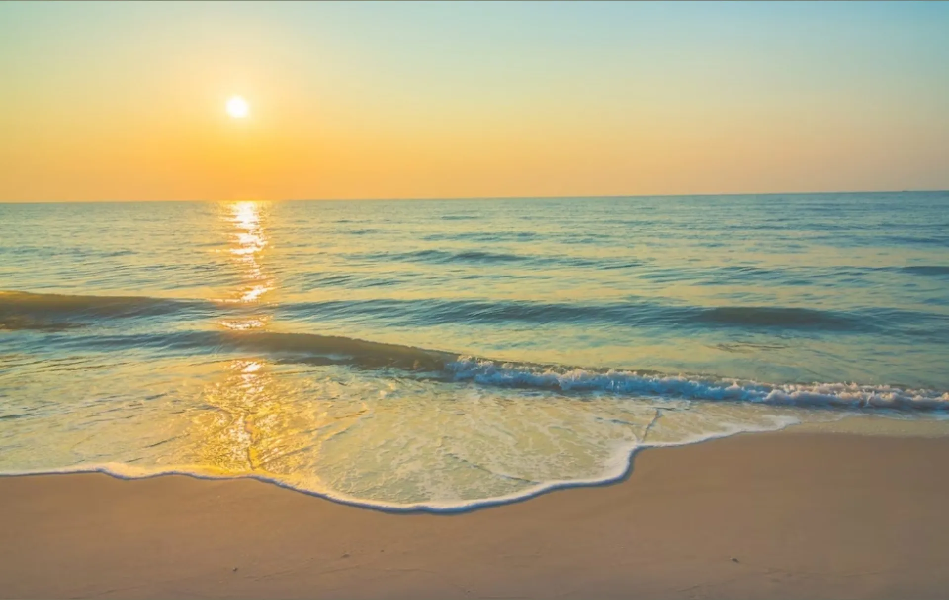 Bender OnlyFans header