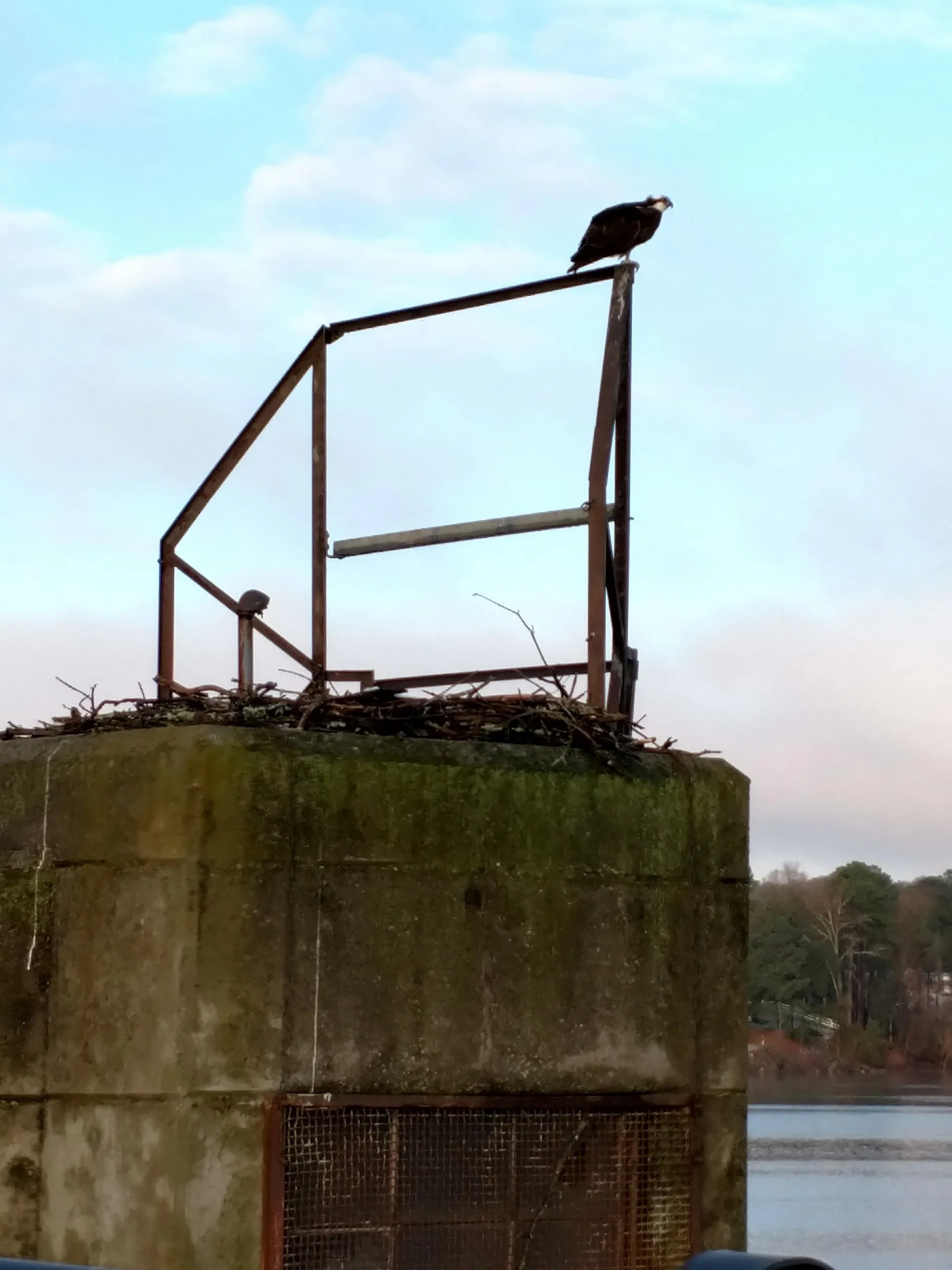 Bendover34 OnlyFans header