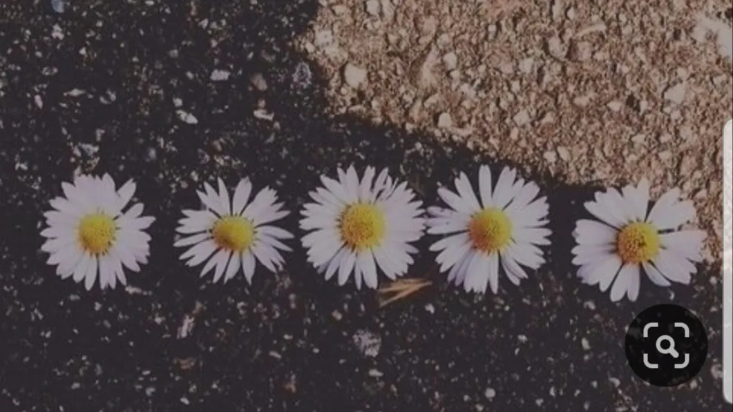 BendOverBecky 🔥 OnlyFans header