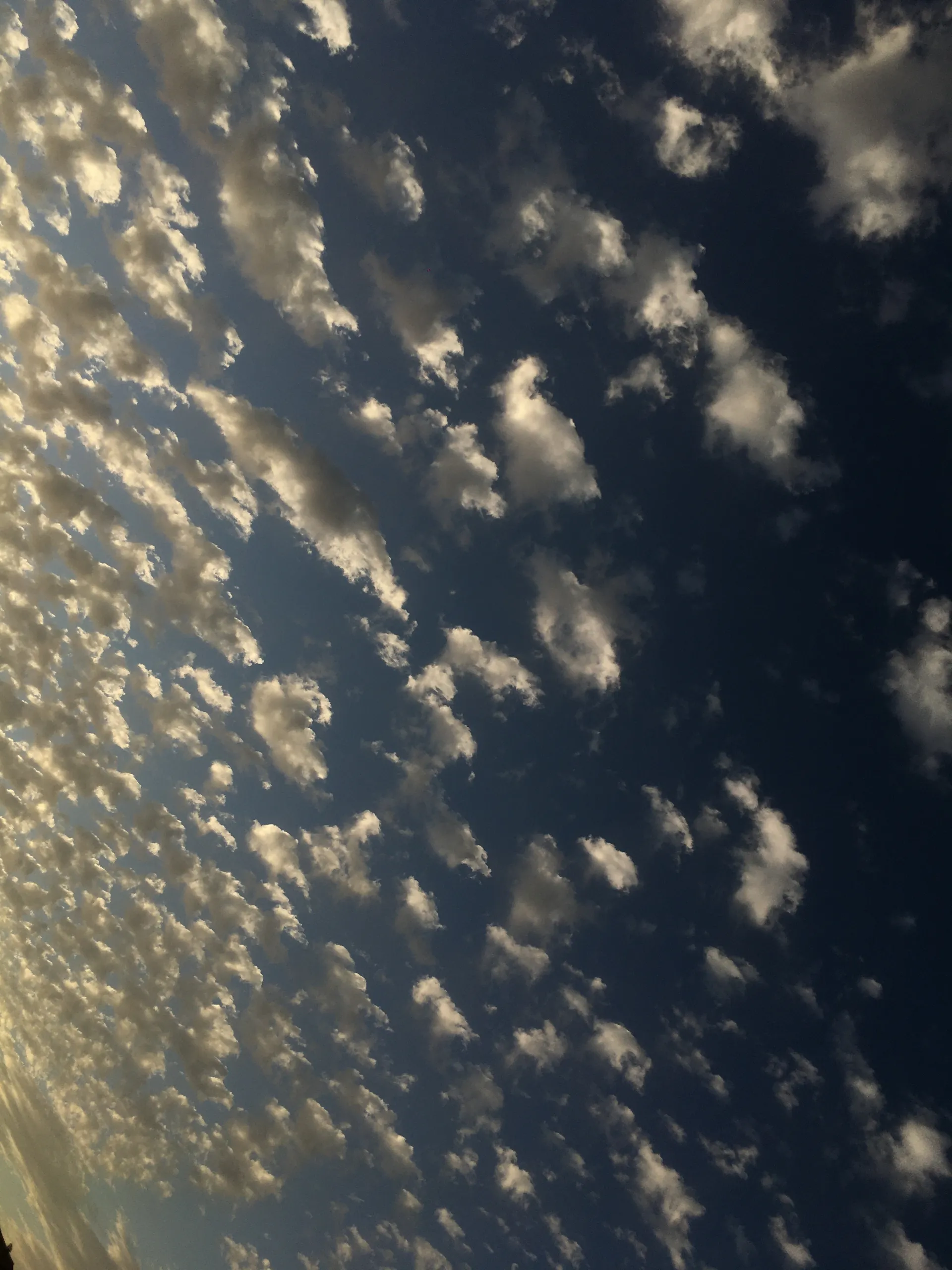 Belen OnlyFans header