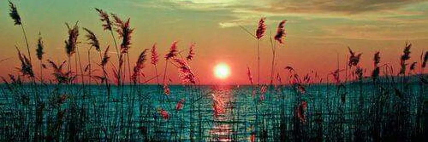 Ute-san✨ OnlyFans header