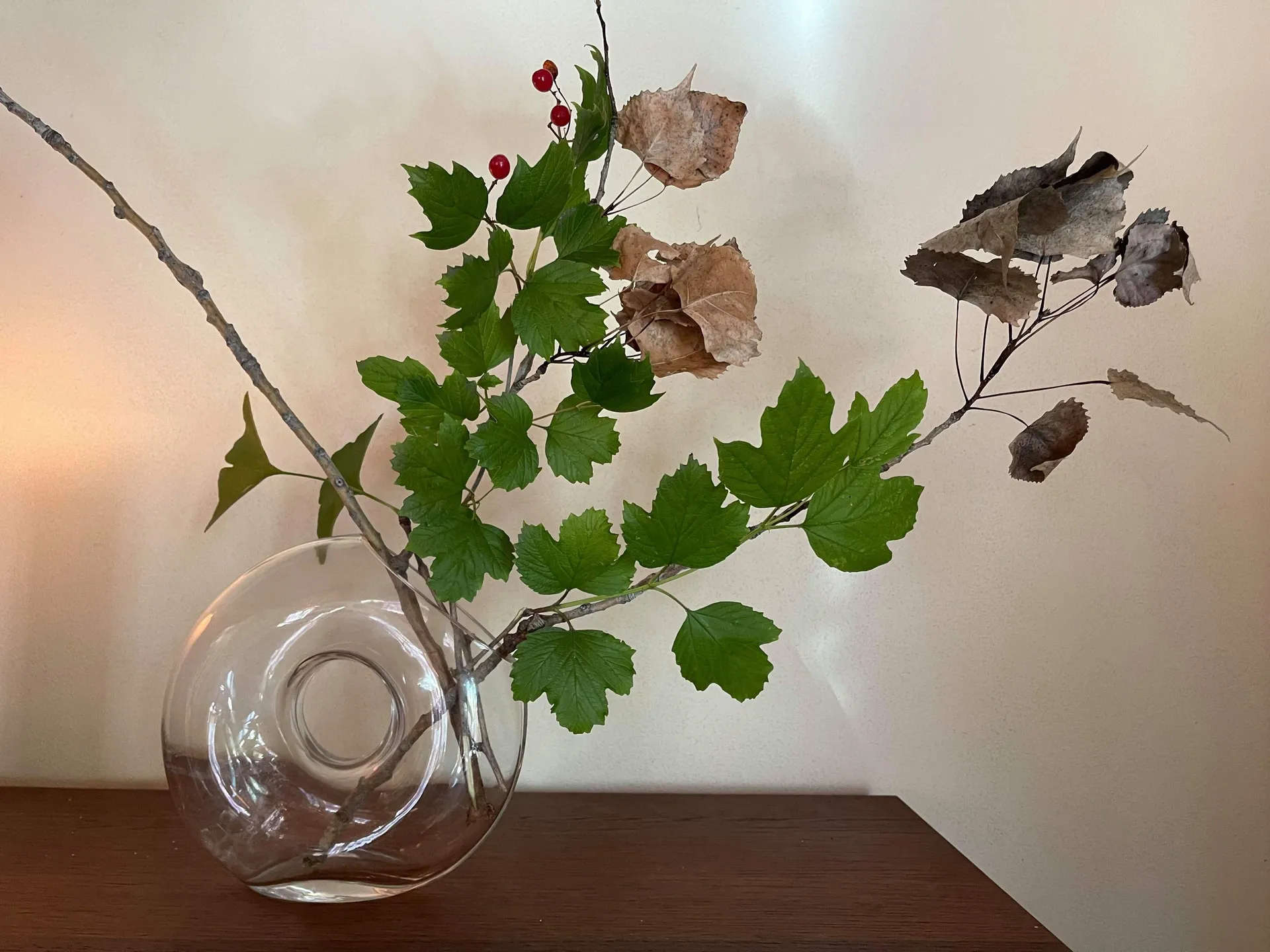 Benjamin James OnlyFans header