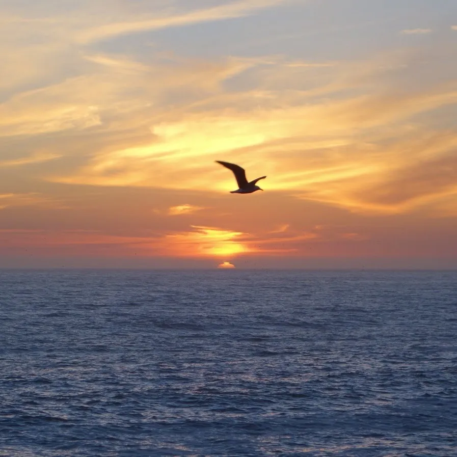 Benjamín Sepúlveda OnlyFans header