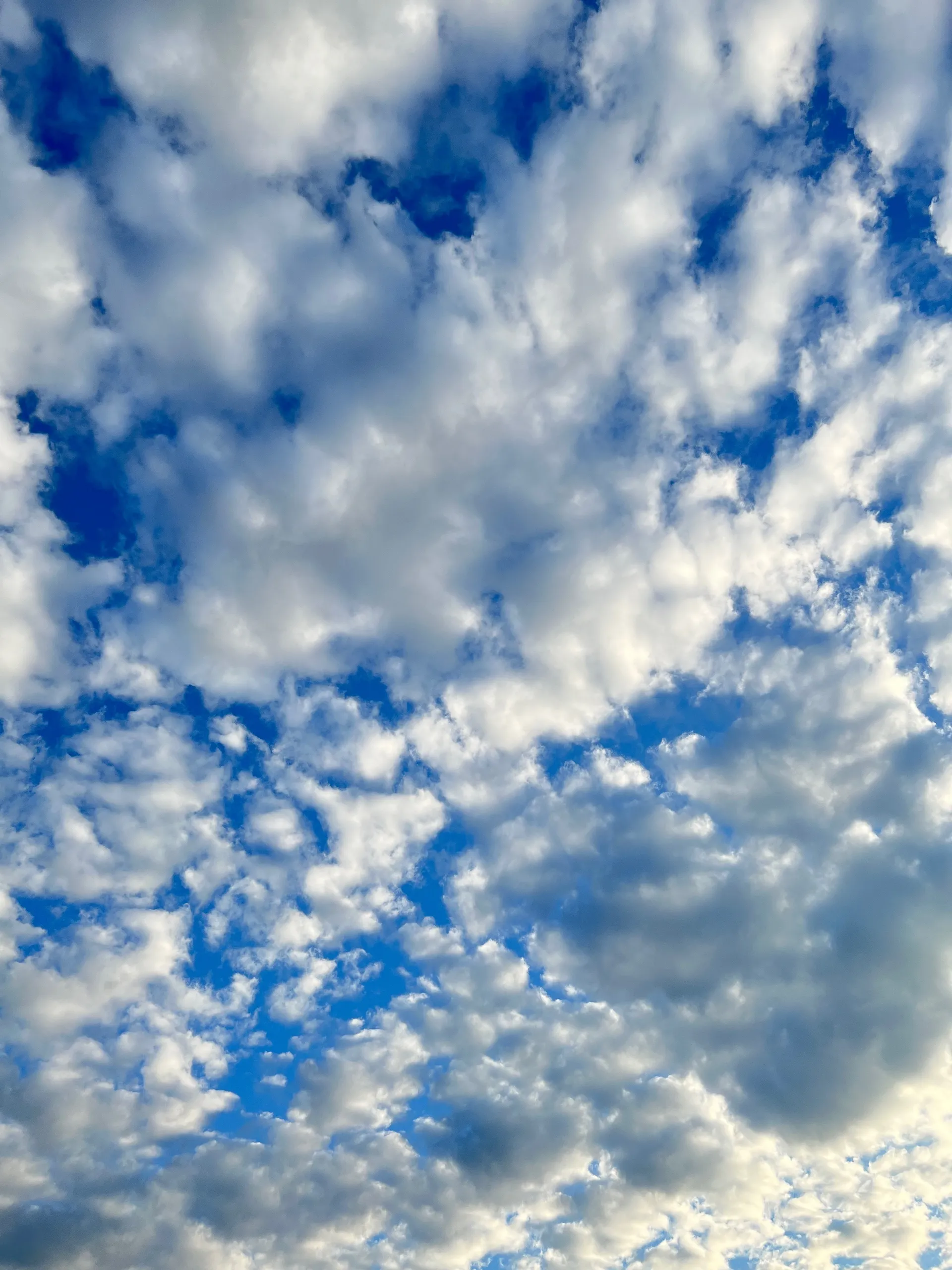 Benjamin OnlyFans header