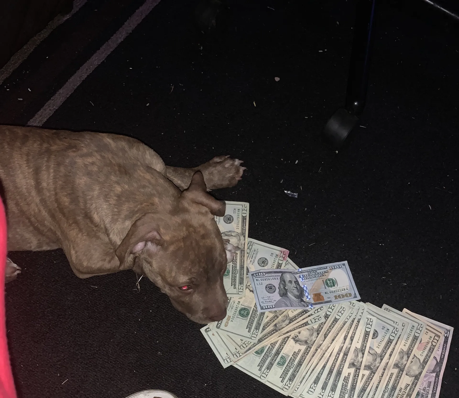 DaRealScarface OnlyFans header