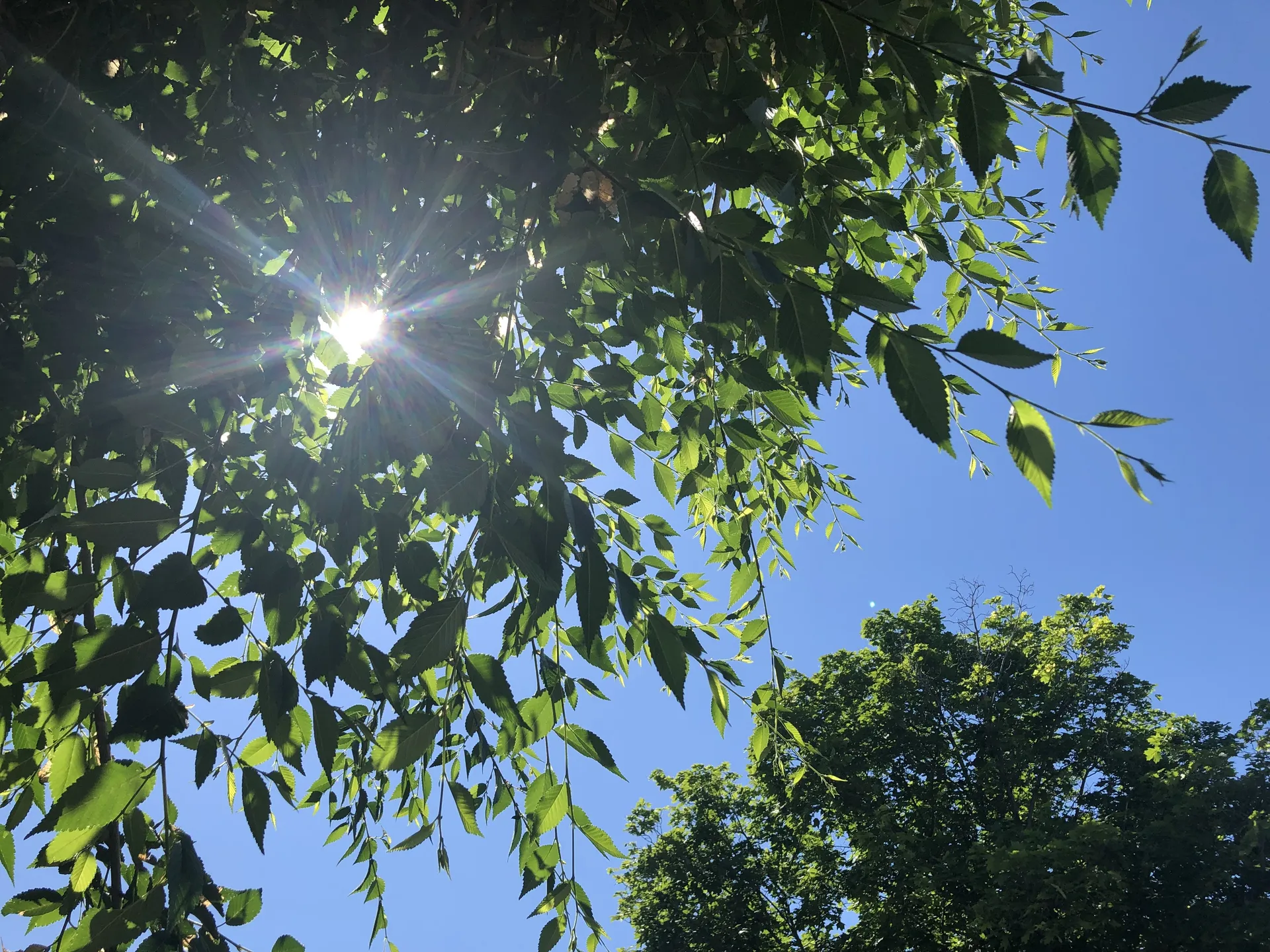 u6228444 OnlyFans header