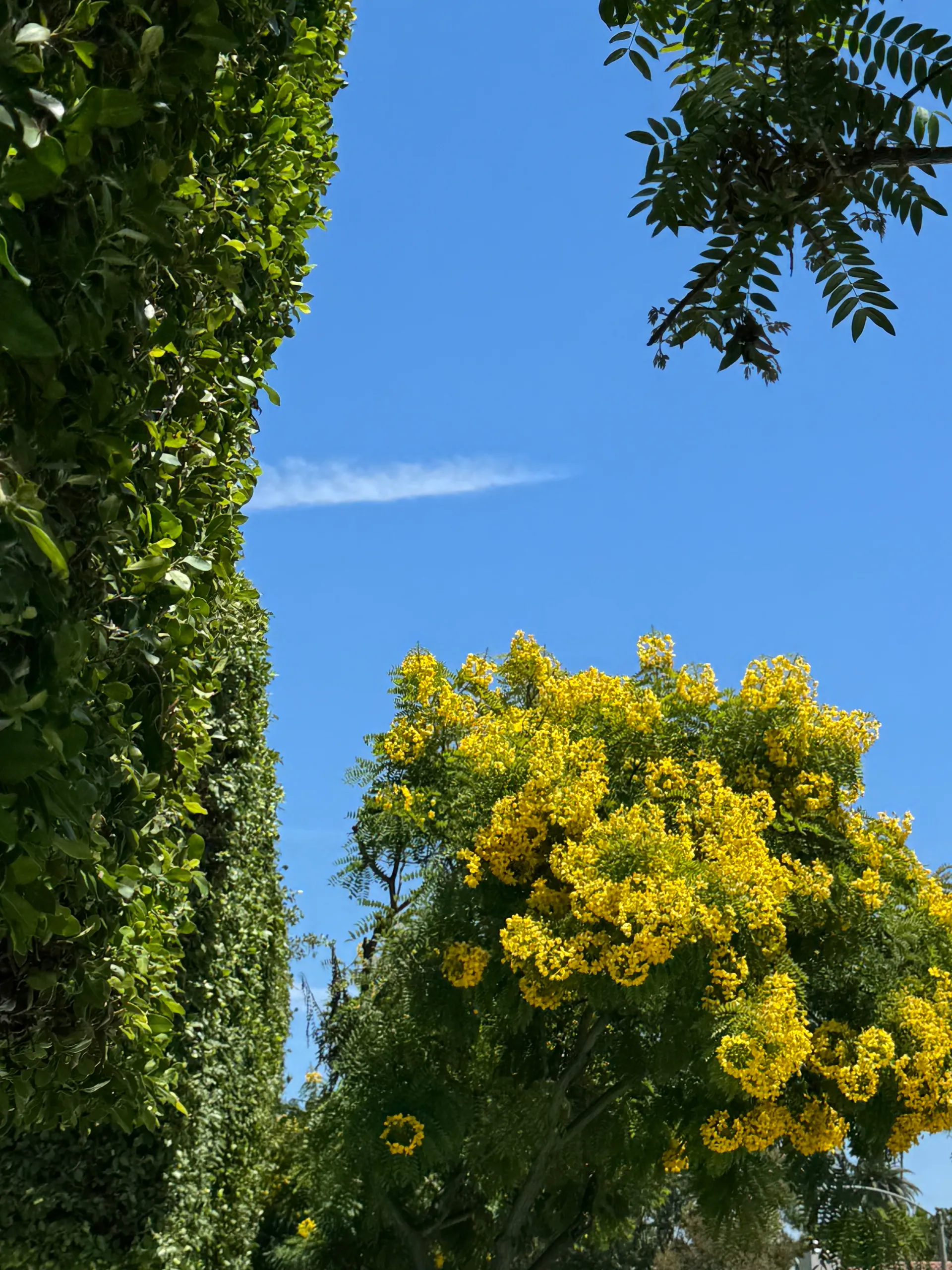 Ben Masters OnlyFans header