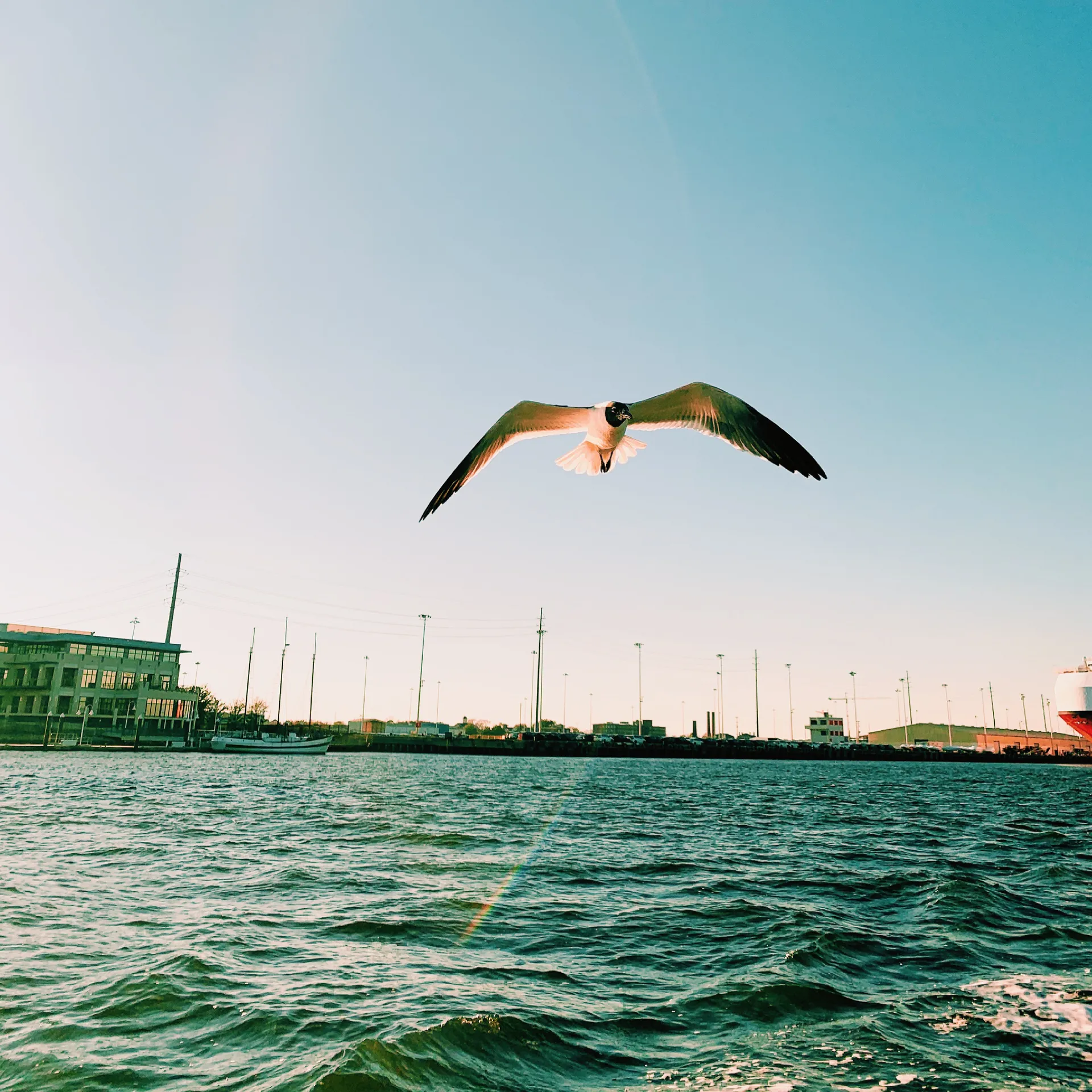 Benni OnlyFans header