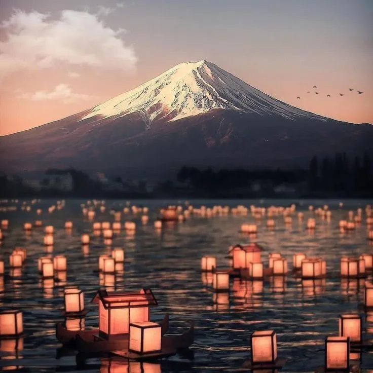 Sofia 🤍 OnlyFans header