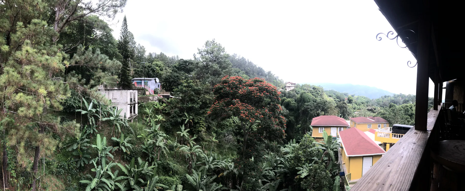 Adonis OnlyFans header