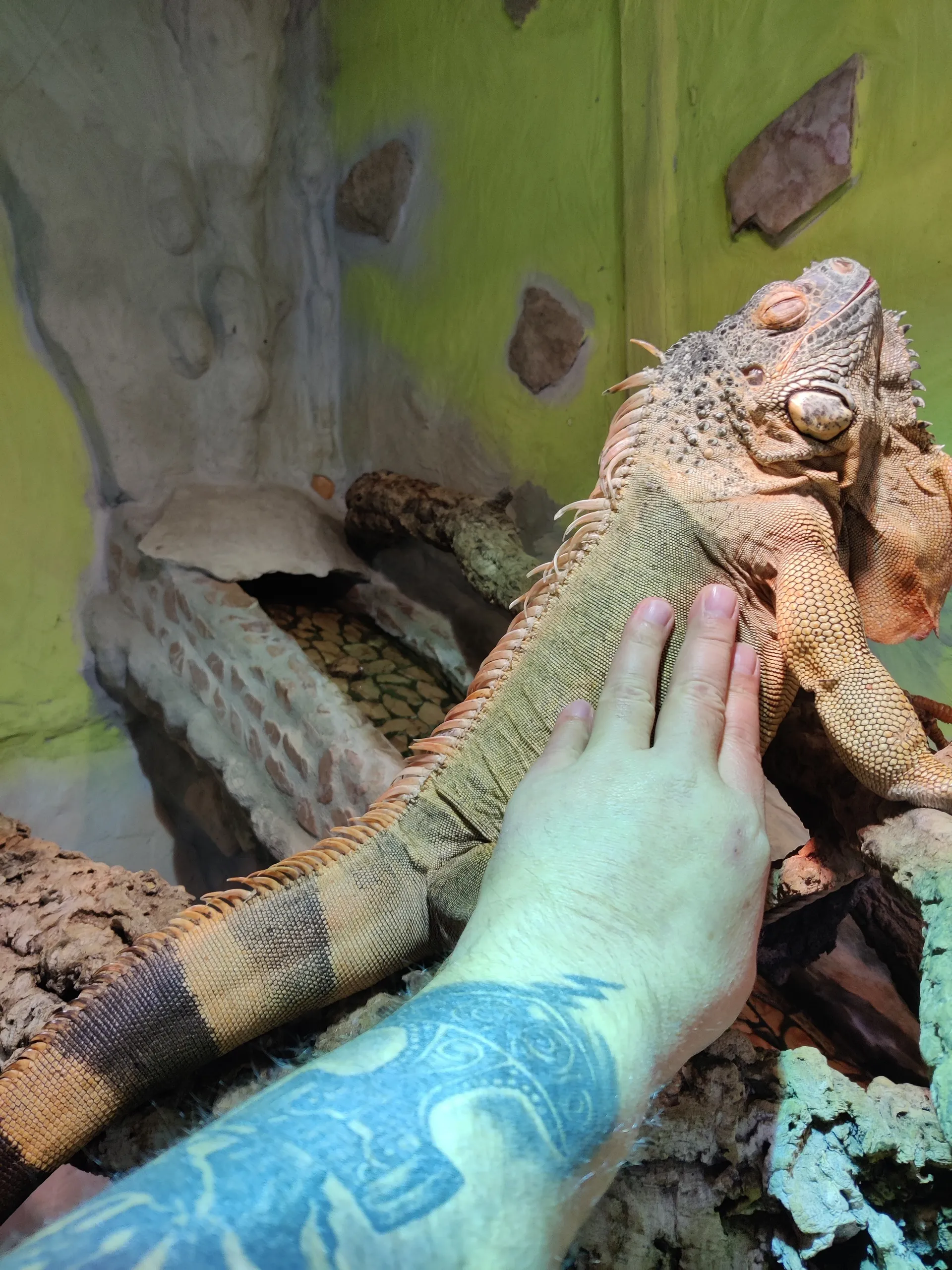 Volker Trautwein OnlyFans header