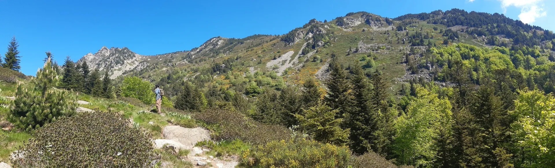 Beret-guy OnlyFans header