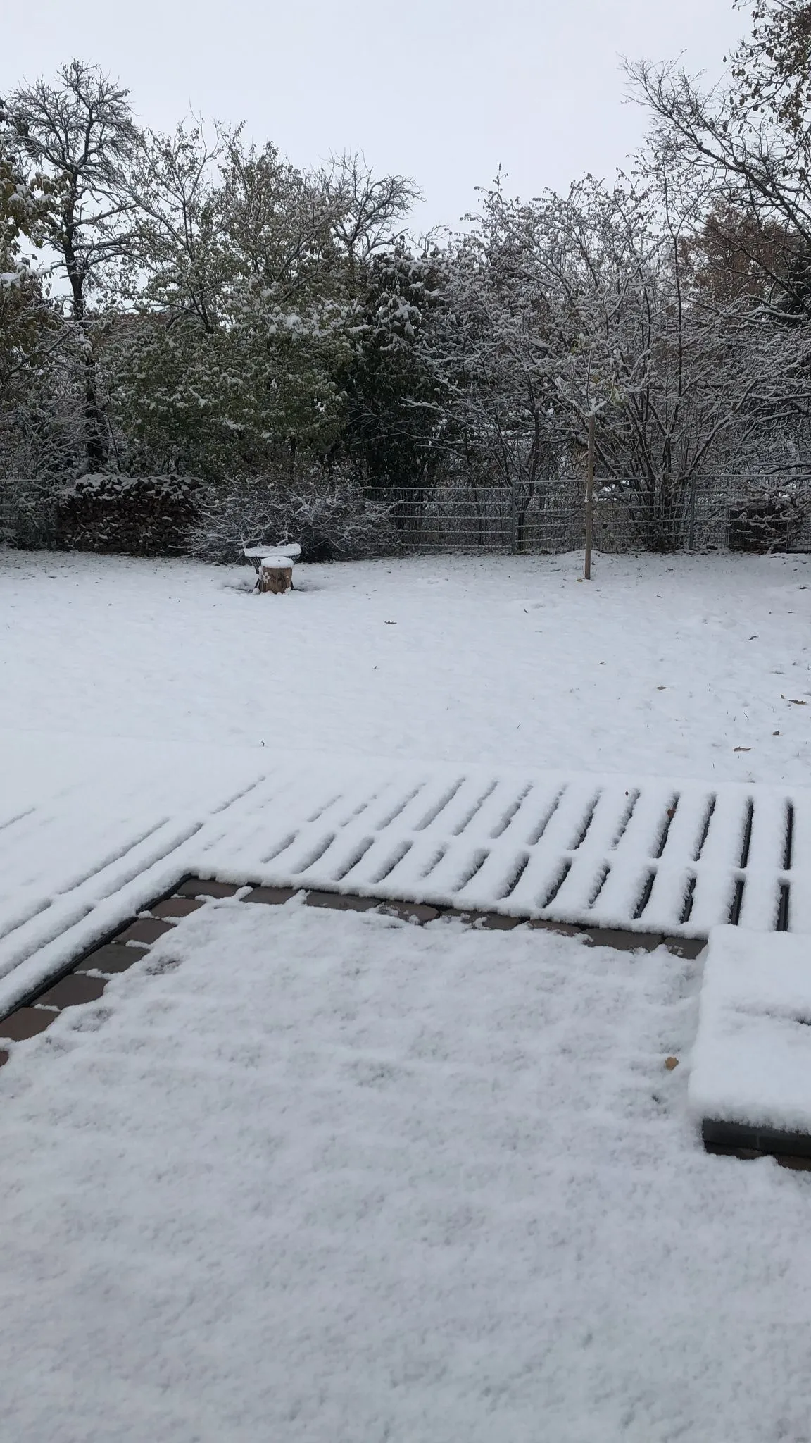 Berg86 OnlyFans header