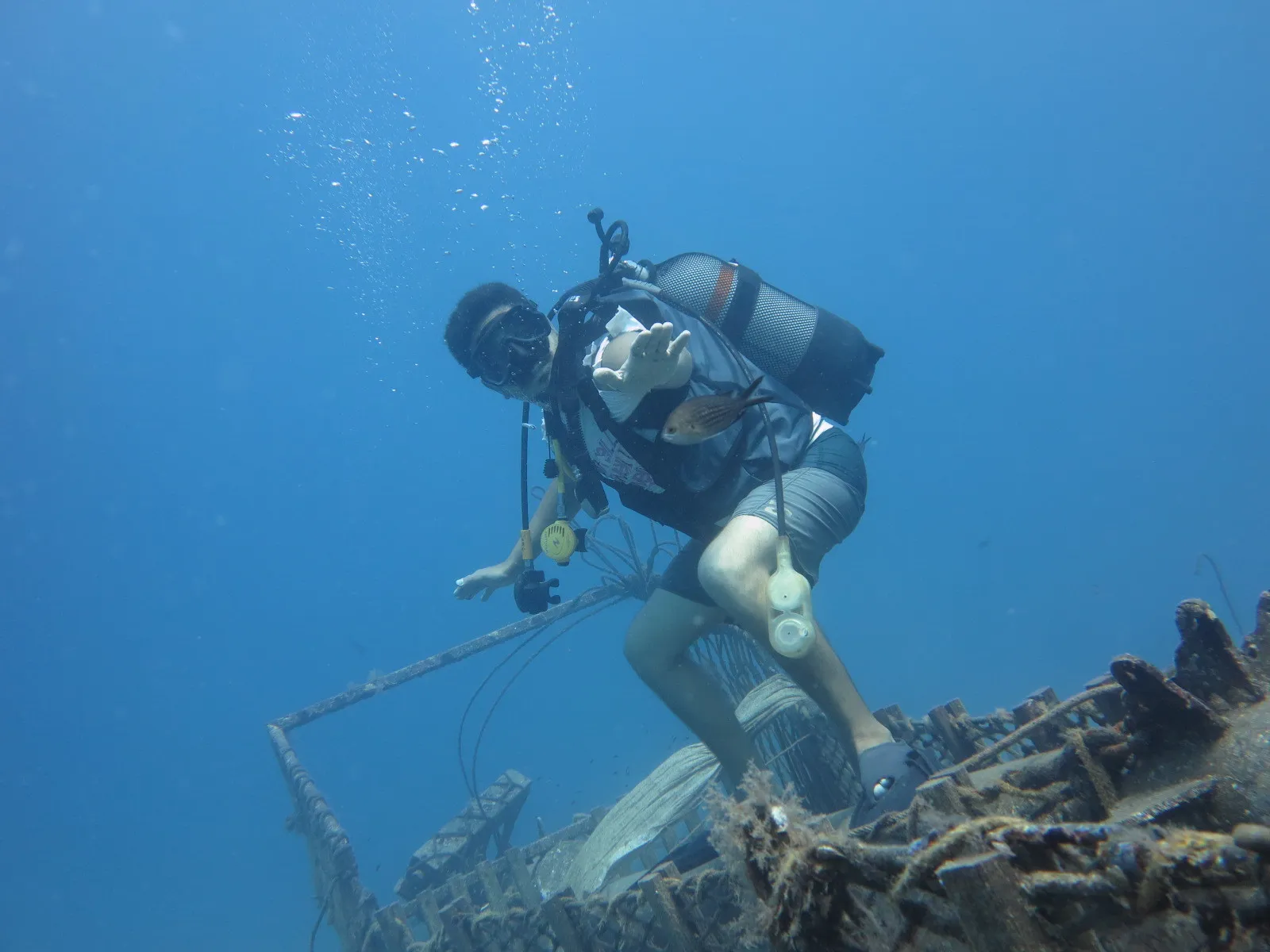 Berkay OnlyFans header