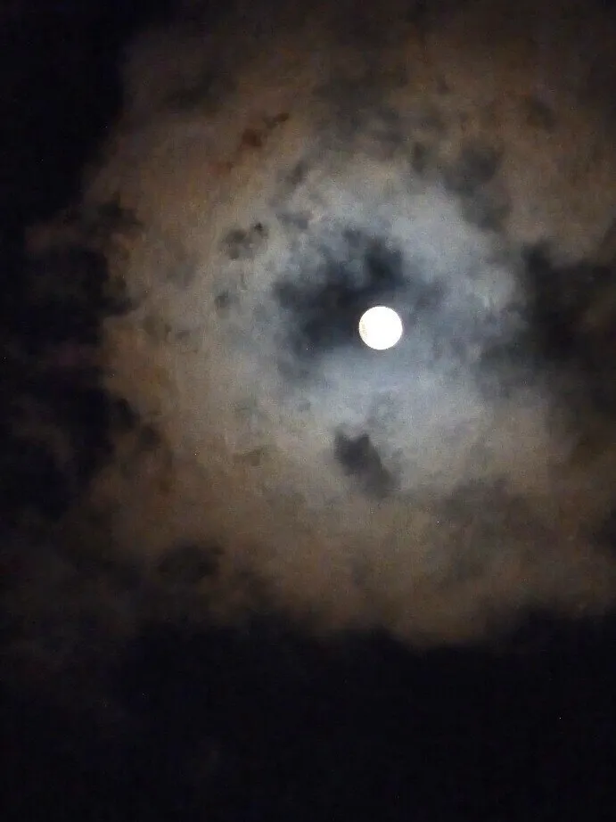 Berna OnlyFans header