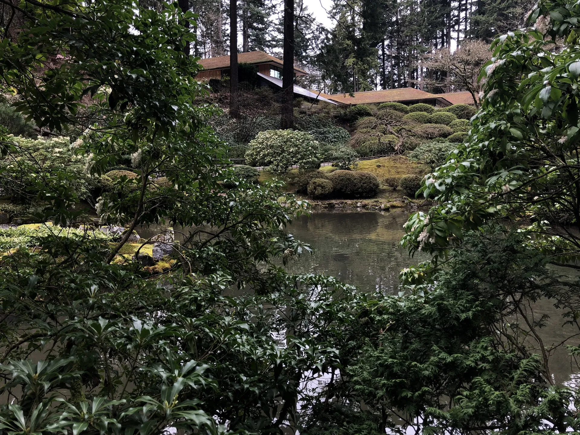 Bernie OnlyFans header