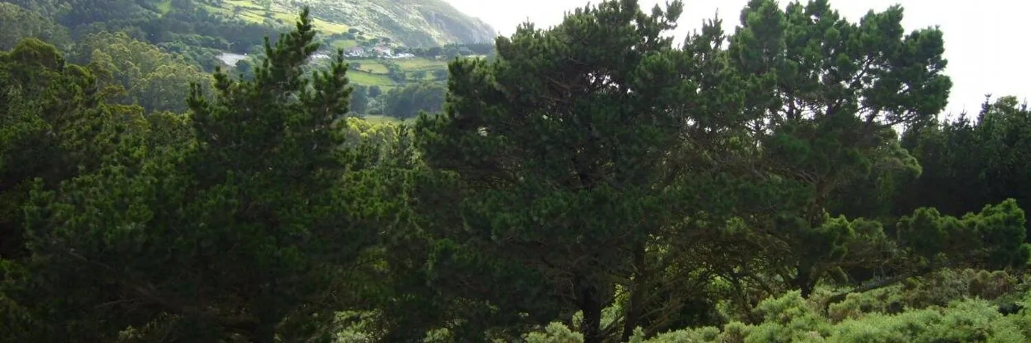 Mauricio Mingorría OnlyFans header