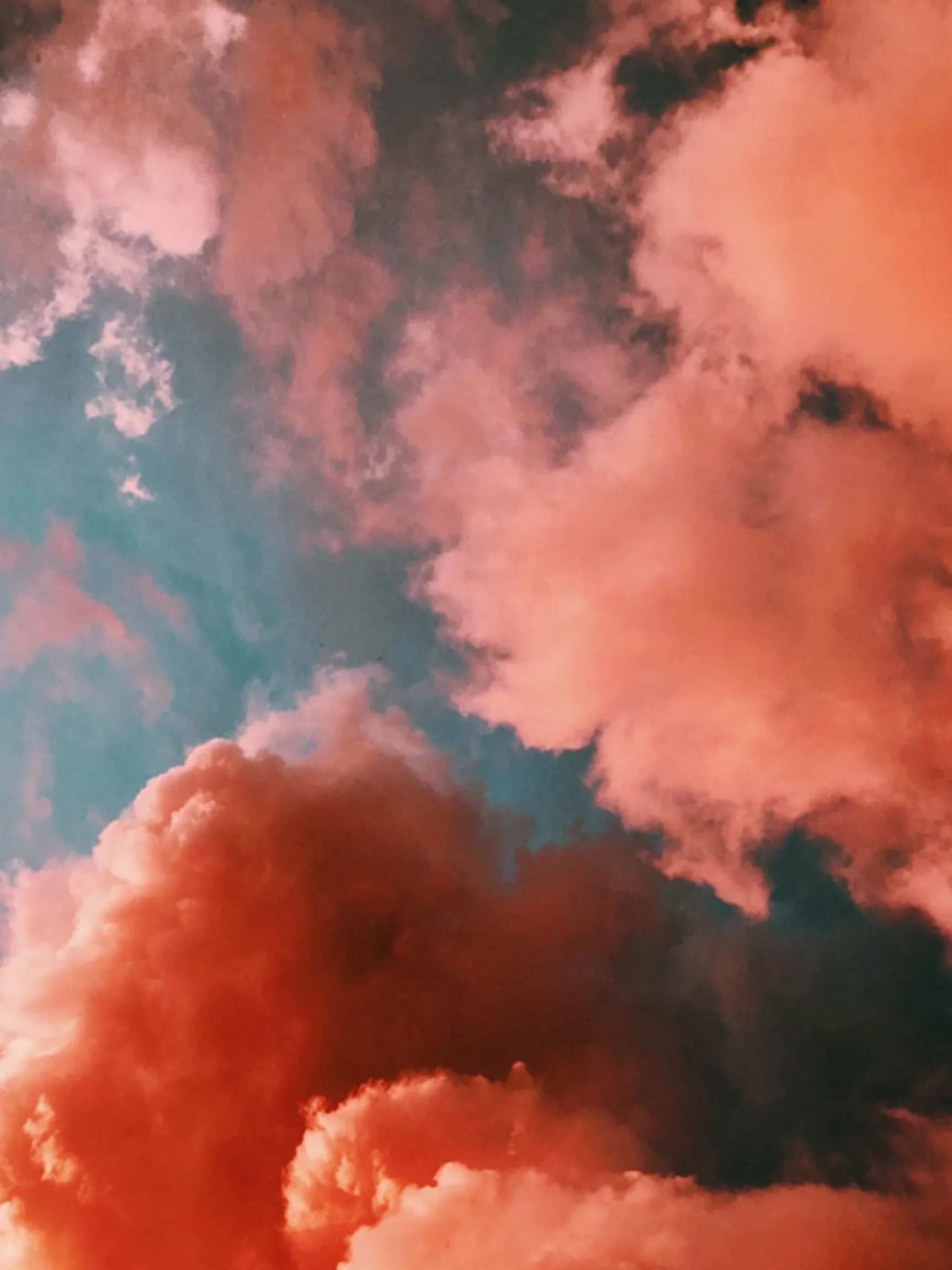 Berri OnlyFans header