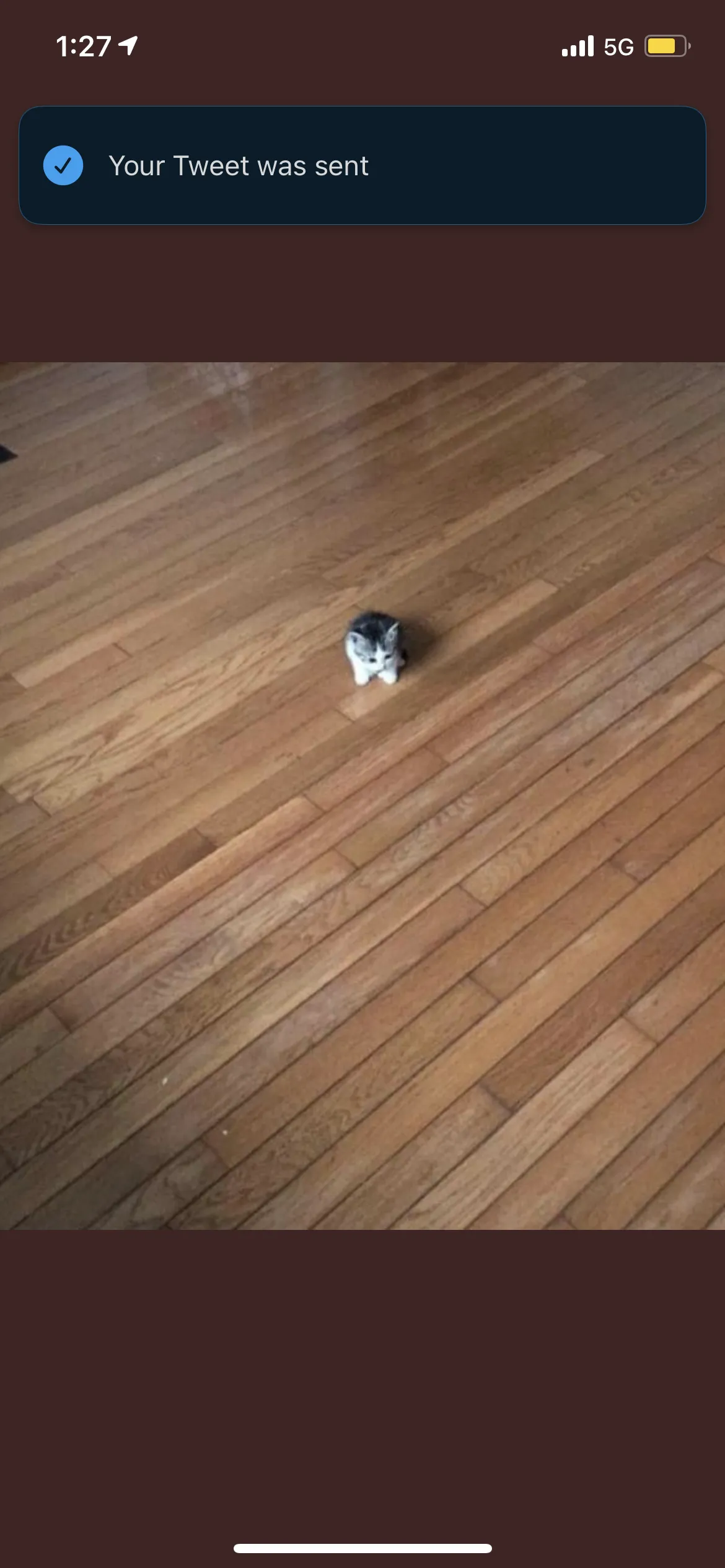 Baby bee OnlyFans header