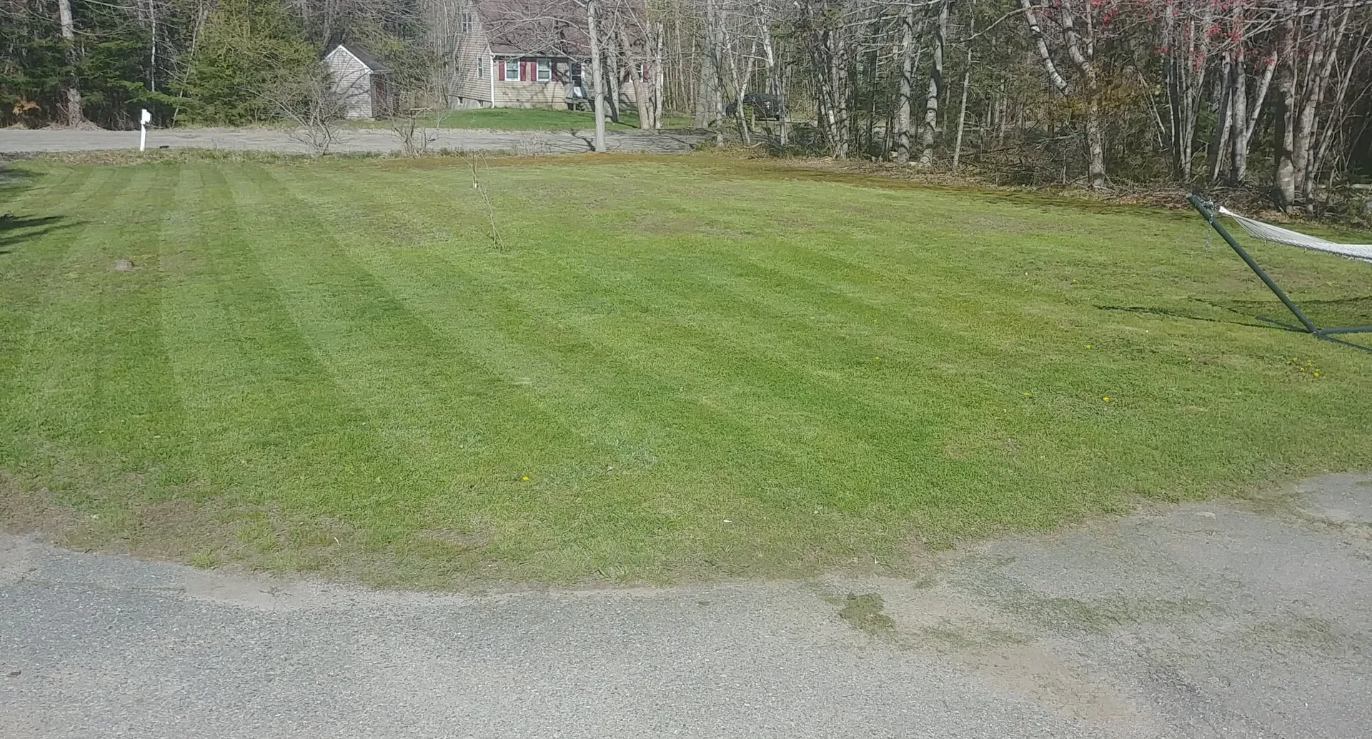 Berserks OnlyFans header