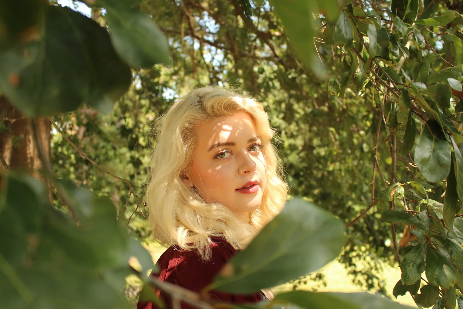 Besanii OnlyFans header