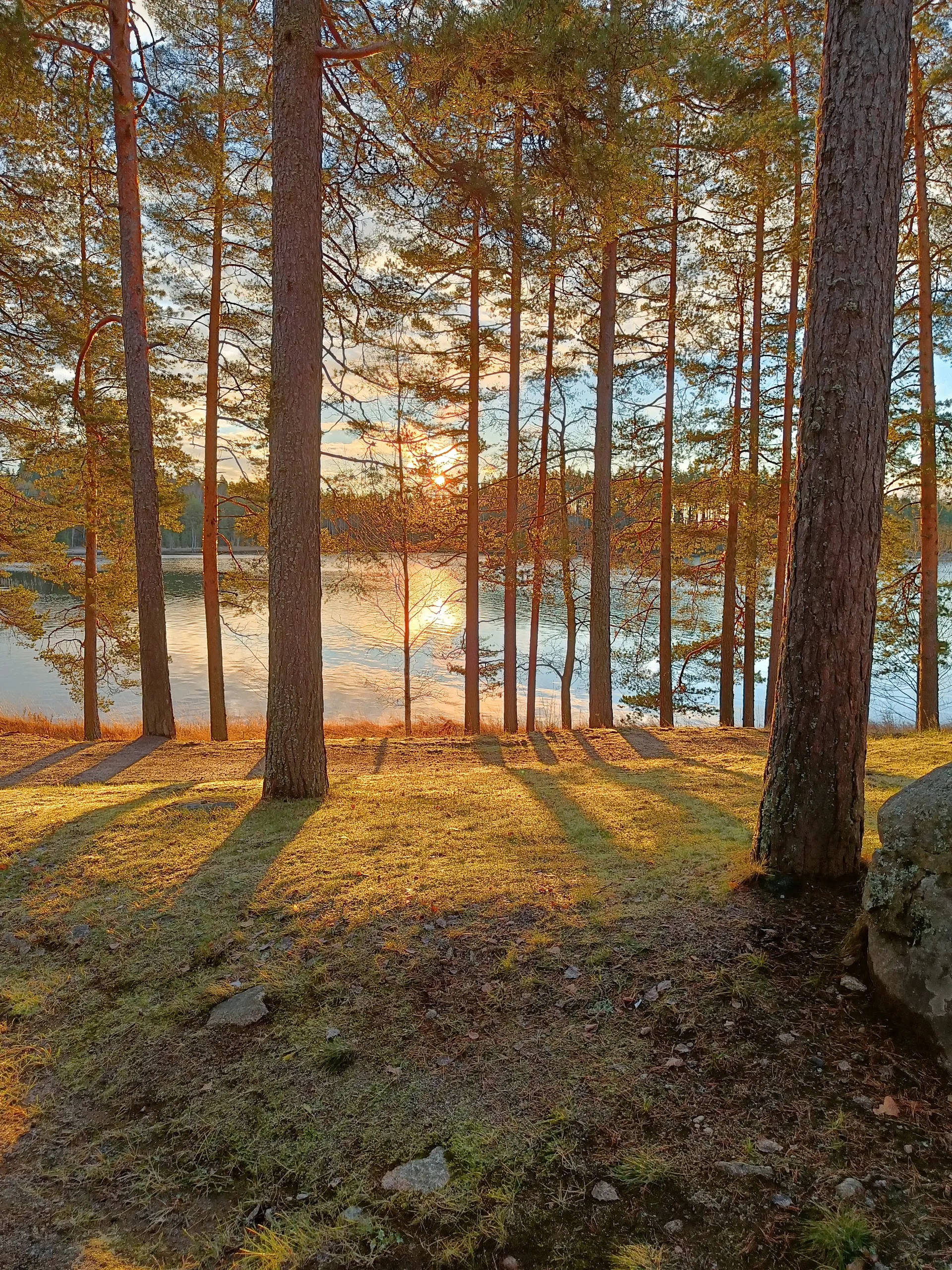 WhoFeet OnlyFans header