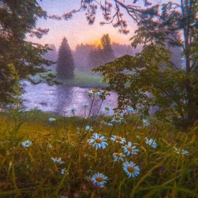 Elijah best OnlyFans header