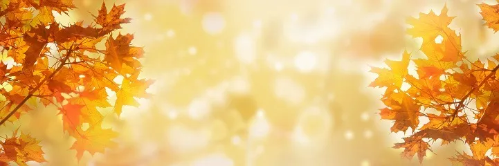 Autumn Everlyn🍁 OnlyFans header