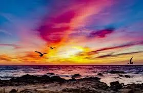 u3831822 OnlyFans header