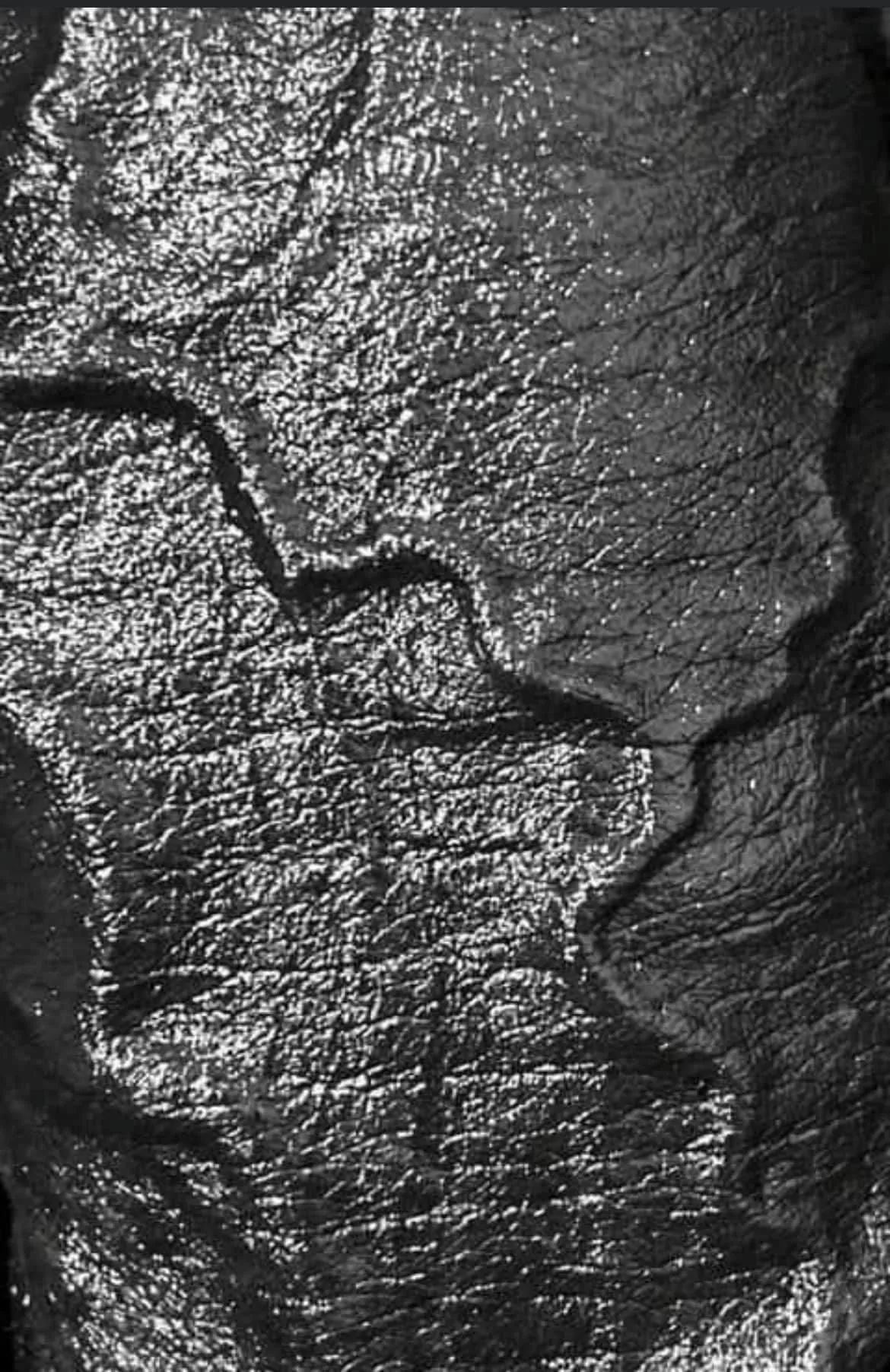 TrellPapiiChulo 🍆🍆 OnlyFans header