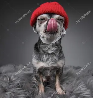 BestOFBothWORLDS🌎 OnlyFans header