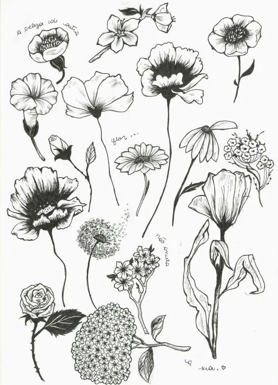 Beth OnlyFans header