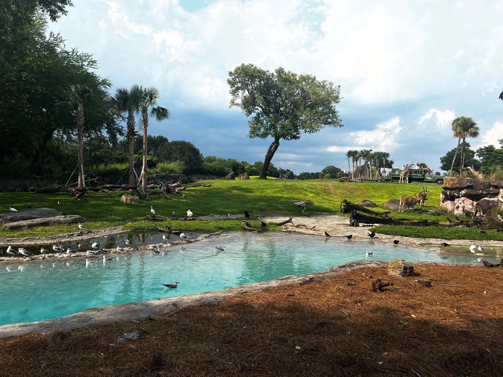 Beth OnlyFans header