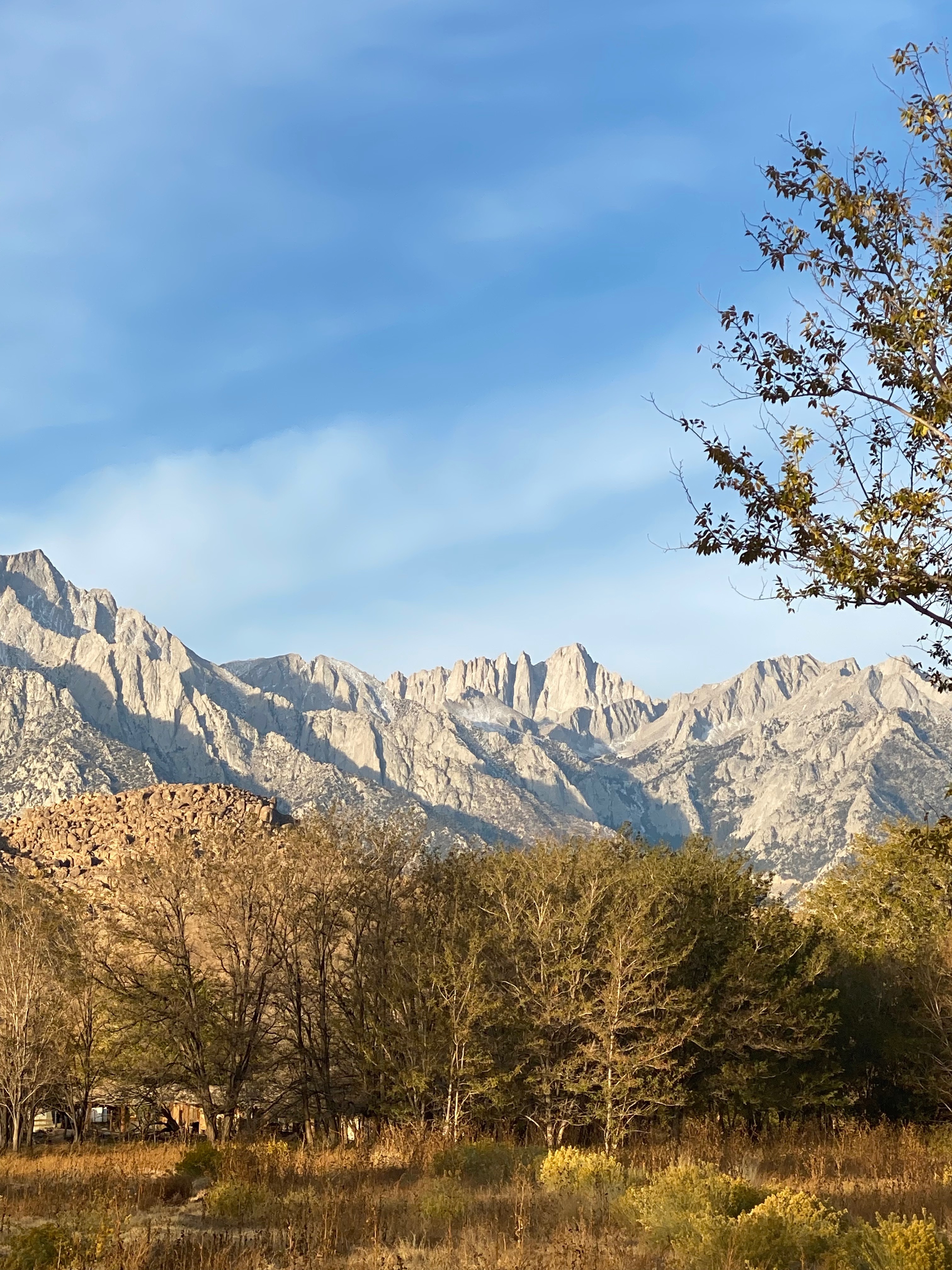 Bettie Bondage OnlyFans header