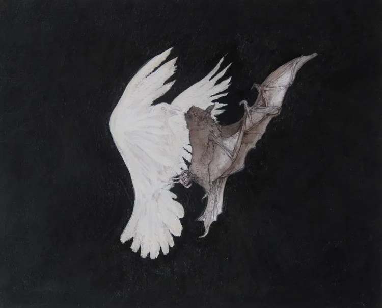 Betty Cake OnlyFans header