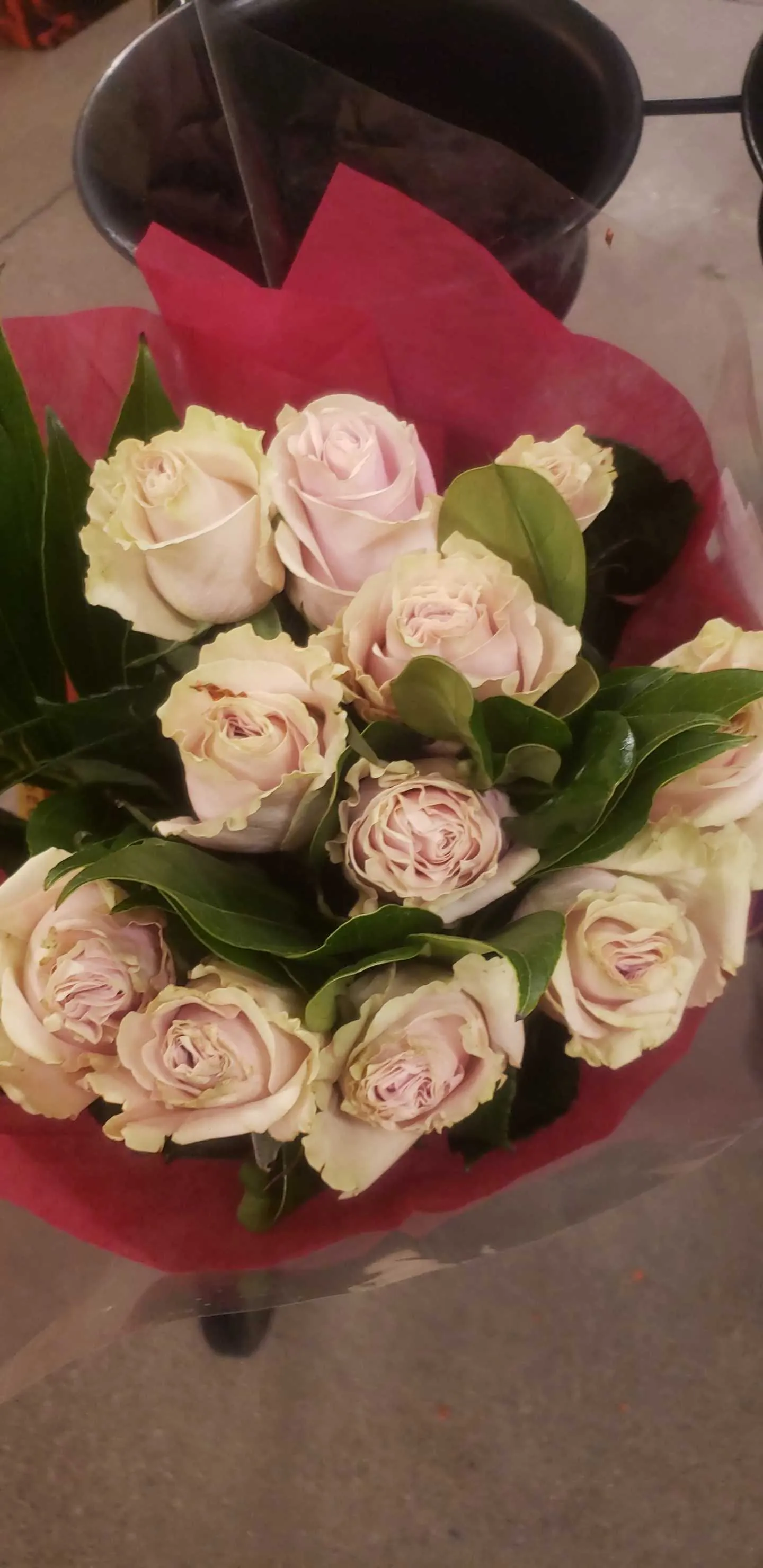 Austin OnlyFans header