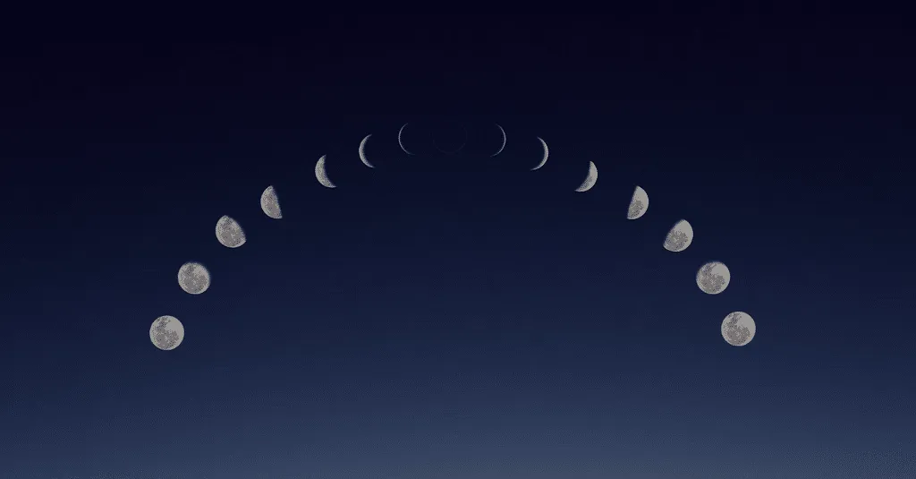 Callie OnlyFans header