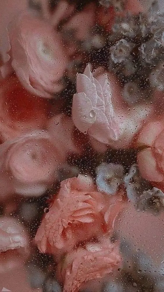 Bezi OnlyFans header