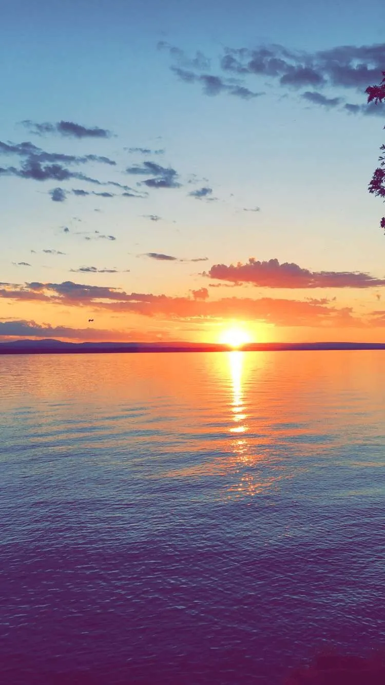 Bfv234 OnlyFans header